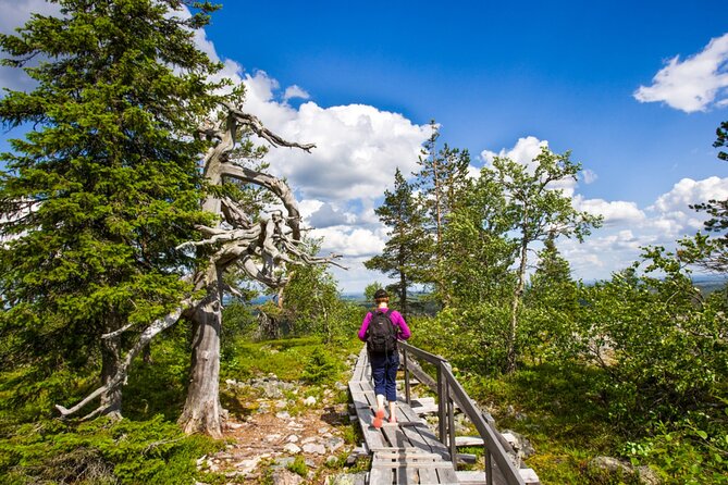 Rovaniemi Korouoma Canyon Hike and Barbecue Experience - Why Korouoma Canyon makes a good day trip from Rovaniemi
