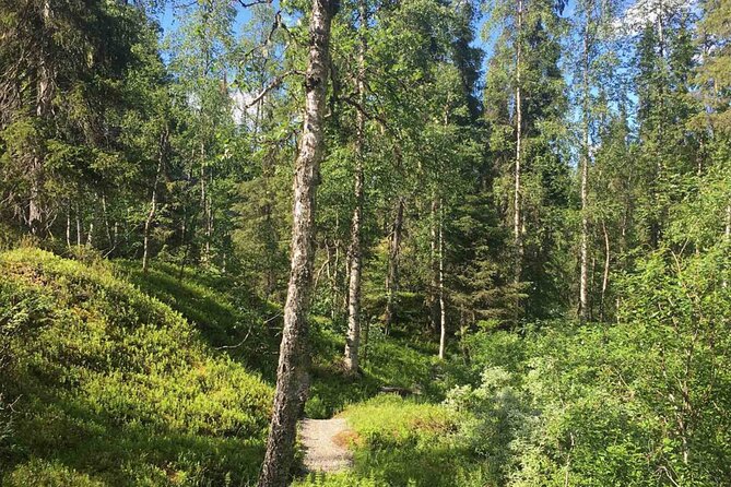 Rovaniemi Korouoma Canyon Hike and Barbecue Experience - Walking through the canyon for 4 to 6 kilometers