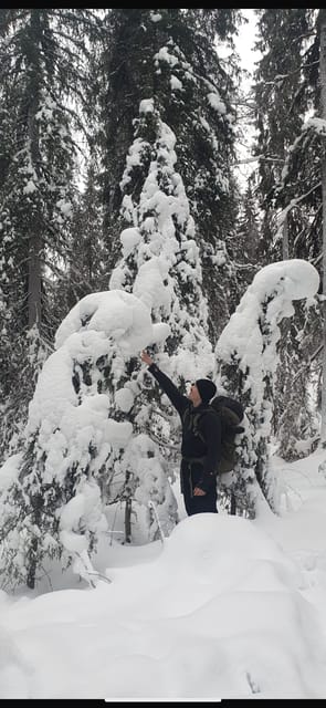 Rovaniemi: Korouoma Frozen Waterfalls Hike & Hot BBQ Lunch - Getting ready for the four-hour canyon hike