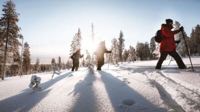Lapland Ski Trekking Safari