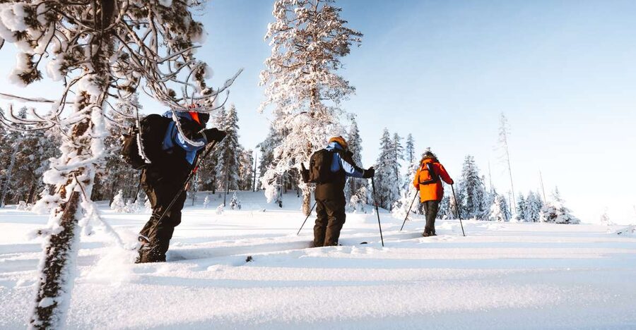 Rovaniemi: Lapland Ski Trekking Safari - Views, frozen lakes, and signs of wildlife