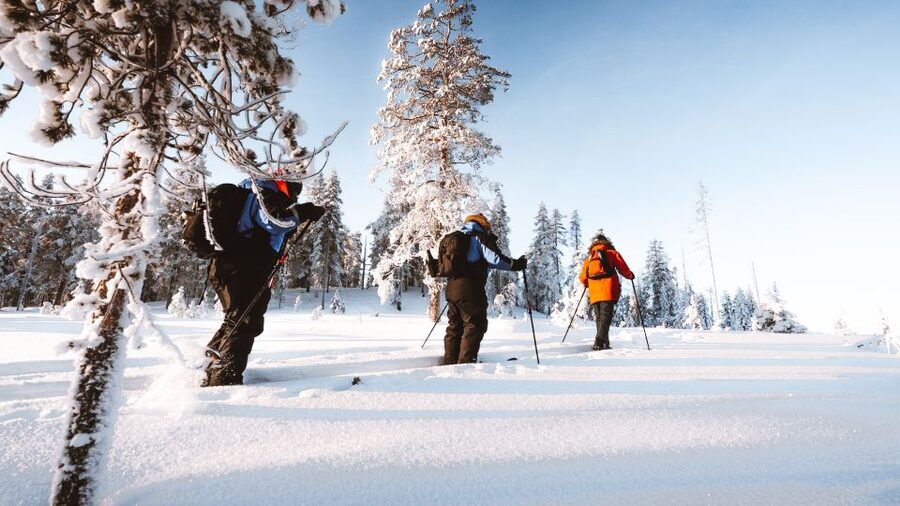 Rovaniemi: Lapland Ski Trekking Safari - The halfway bonfire and Finnish campfire food