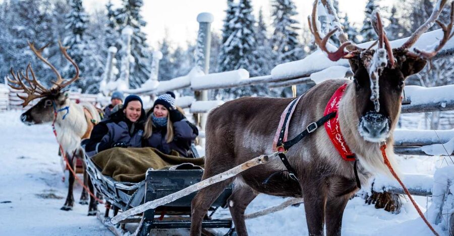 Rovaniemi: Local Reindeer Farm Visit with Sleigh Ride - Who will enjoy this most