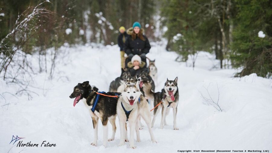 Rovaniemi: Meet Santa Claus, Reindeer Sleigh Ride & Huskies - The 400-meter reindeer ride