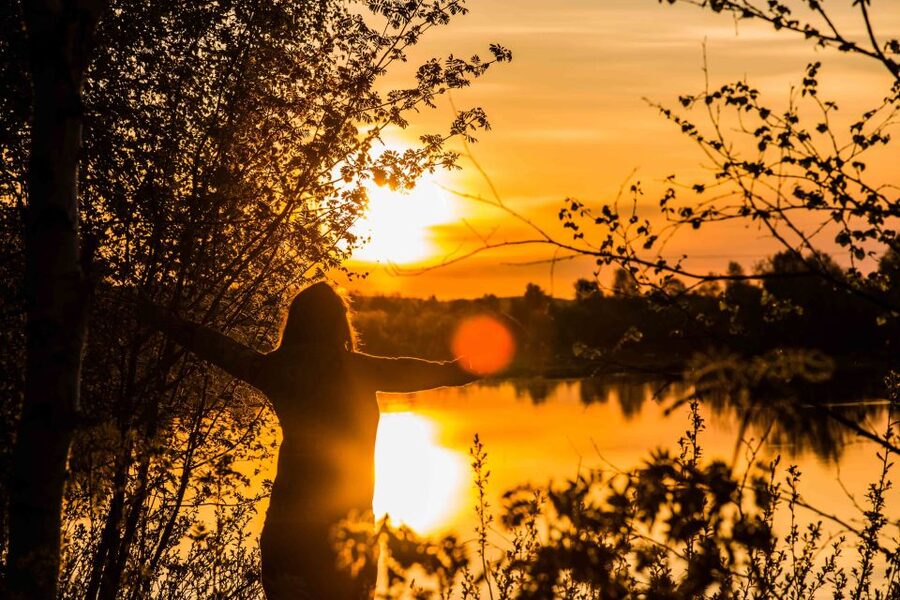 Rovaniemi: Midnight Sun Photography Tour - What the photography instruction is really worth