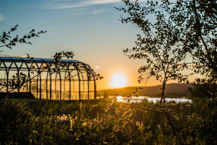 Rovaniemi: Midnight Sun Photography Tour - What to bring and what you do not need to pack