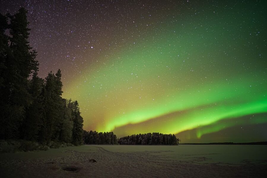 Rovaniemi: Night Sky lappish Barbecue - Key points to know before booking