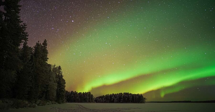 Rovaniemi: Night Sky lappish Barbecue - Who will enjoy this Rovaniemi evening?