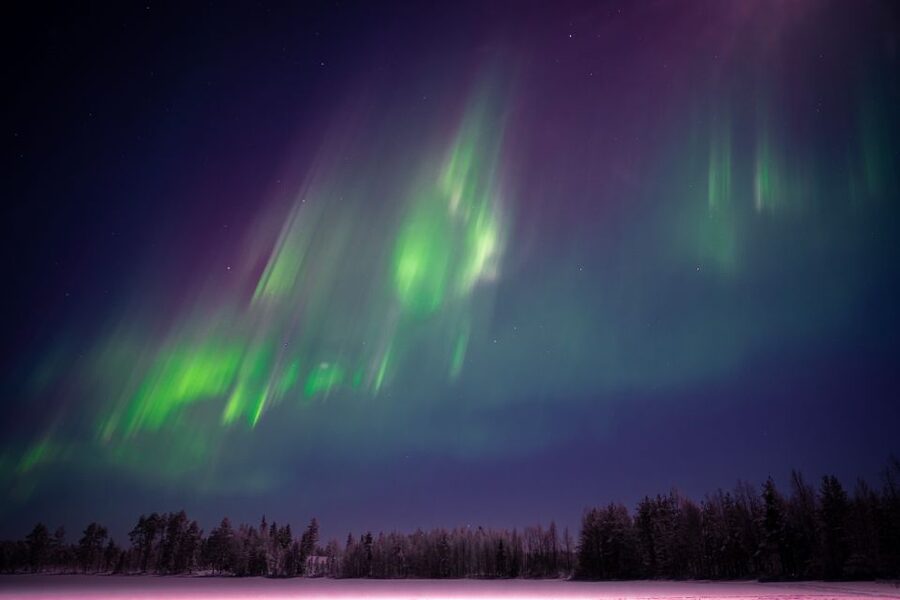 Rovaniemi: Night Sky lappish Barbecue - How reliable is the northern lights promise?