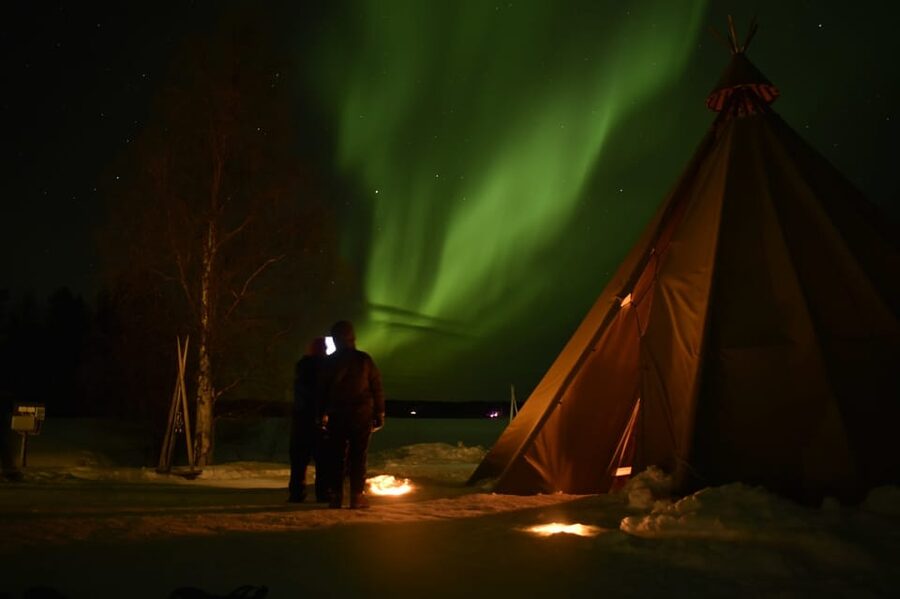 Rovaniemi: Night Snowmobile Tour - Who Should Book This Night Safari?