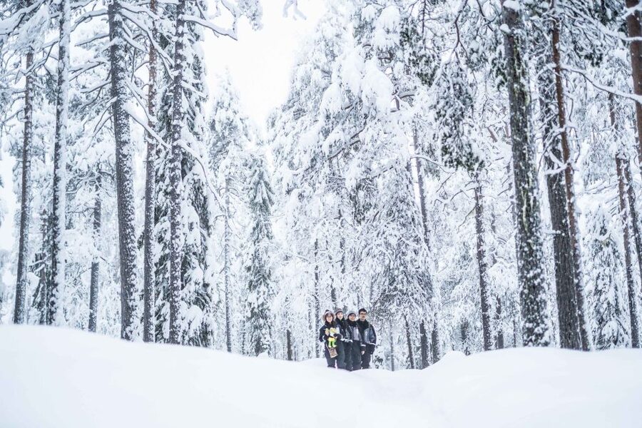 Rovaniemi: Nordic Forest Wilderness Adventure - Booking details worth knowing