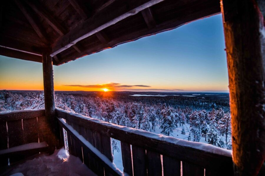 Rovaniemi: Nordic Forest Wilderness Adventure - Leaving Rovaniemi for the forest