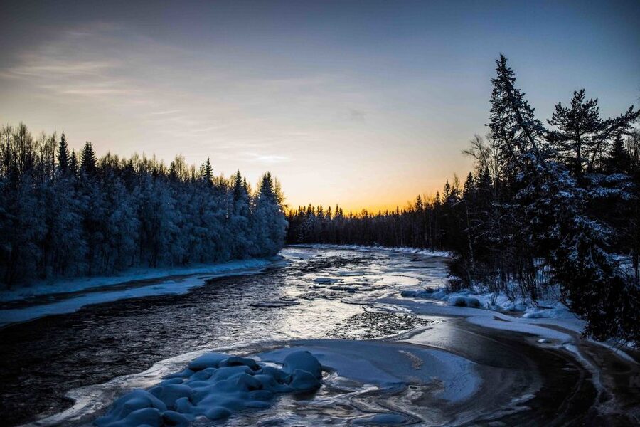 Rovaniemi: Nordic Forest Wilderness Adventure - Climbing the Arctic fell lookout