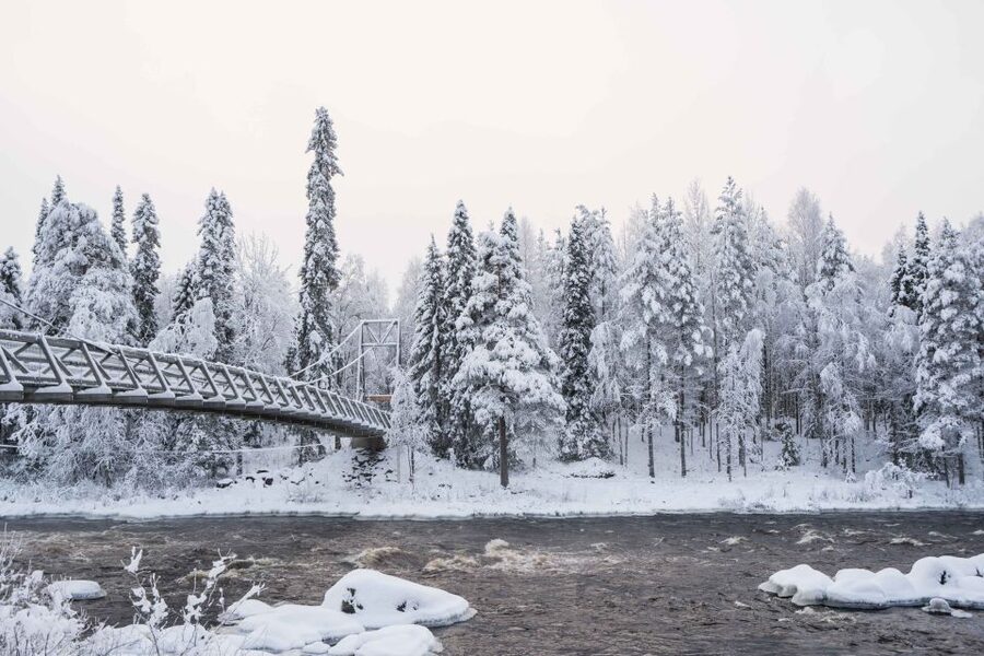 Rovaniemi: Nordic Forest Wilderness Adventure - Who will enjoy this Rovaniemi outing?