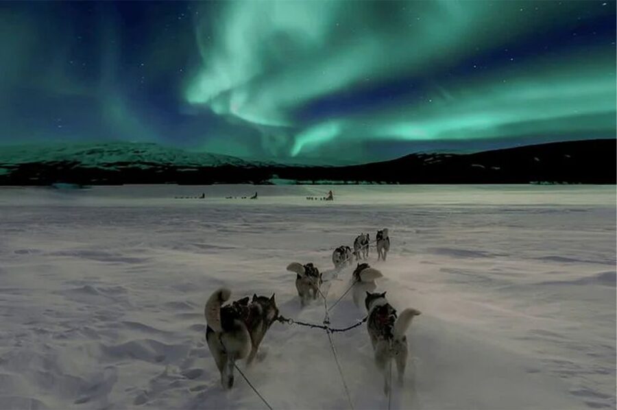 Rovaniemi: Northern Lights and Husky Sleigh Ride - Why this Rovaniemi evening works