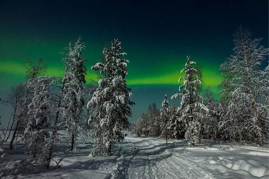 Rovaniemi: Northern Lights and Husky Sleigh Ride - The 5-kilometer sleigh ride