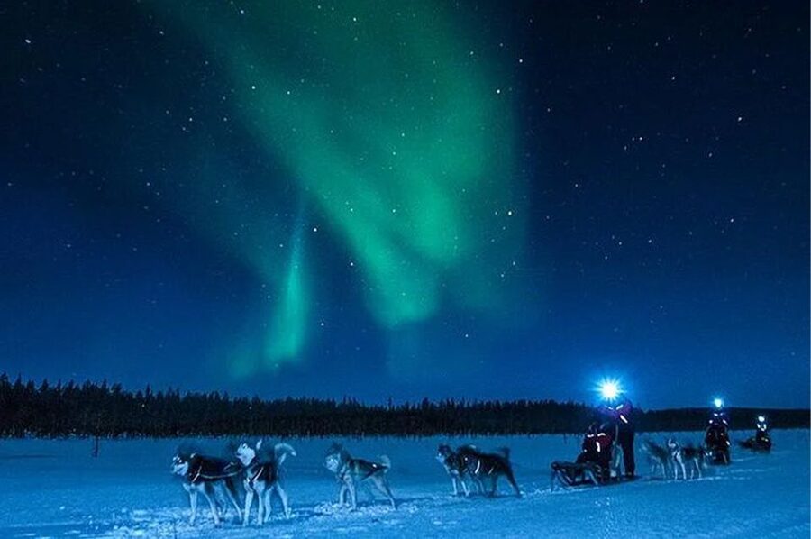 Rovaniemi: Northern Lights and Husky Sleigh Ride - What the ride feels like in practice