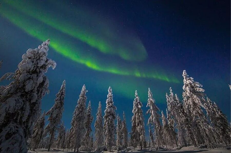 Rovaniemi: Northern Lights and Husky Sleigh Ride - Searching for the Northern Lights by car