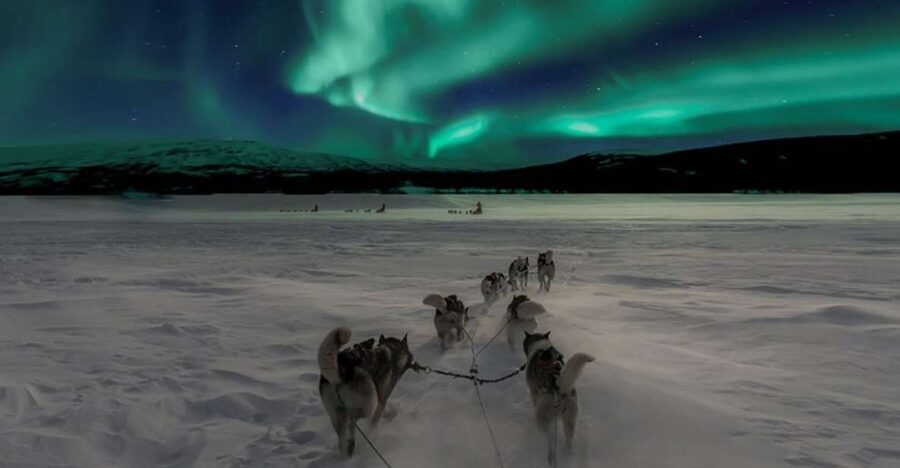 Rovaniemi: Northern Lights and Husky Sleigh Ride - Guides can shape the whole evening