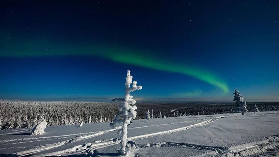 Rovaniemi: Northern Lights and Husky Sleigh Ride - Hot blueberry juice and the winter setting