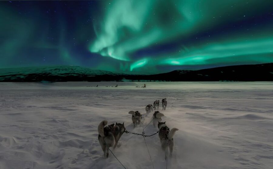 Rovaniemi: Northern Lights and Husky Sleigh Ride - Meeting the huskies at the farmhouse