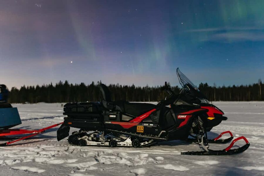 Rovaniemi: Northern Lights Family-Friendly Snowmobile Safari - How the small group changes the experience