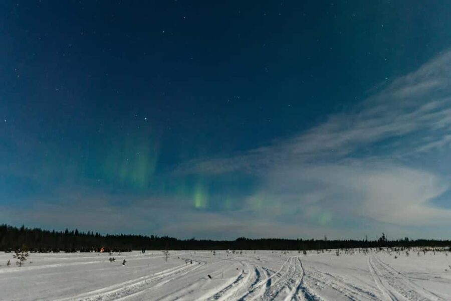 Rovaniemi: Northern Lights Family-Friendly Snowmobile Safari - What the $181 price really covers