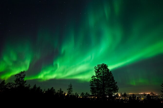 Rovaniemi: Northern Lights Group Tour - Guaranteed View - What happens at an aurora stop