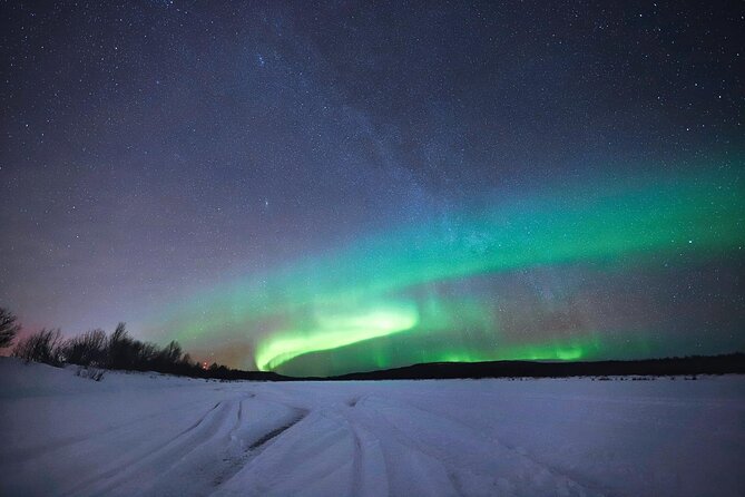 Rovaniemi: Northern Lights Group Tour - Guaranteed View - Professional photos, and what to expect from them