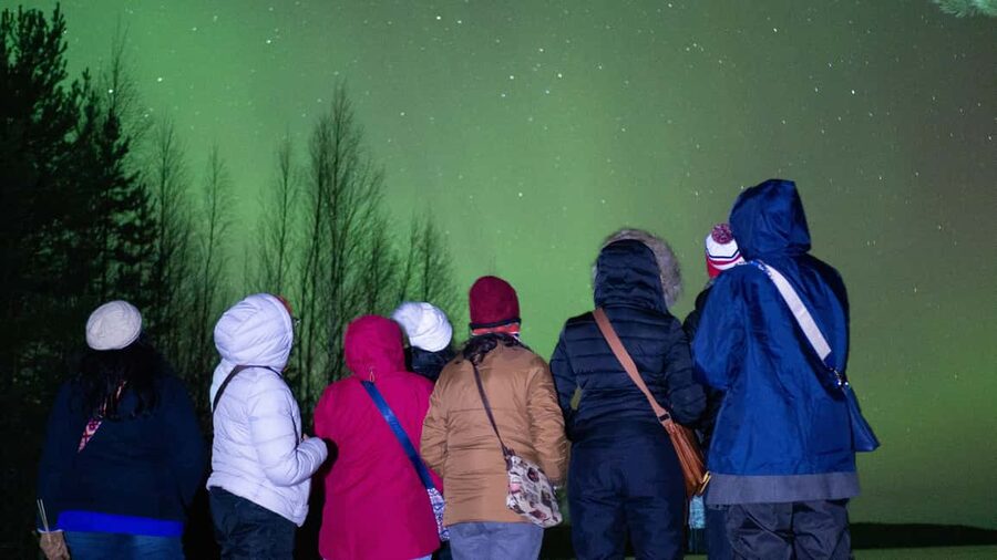 Rovaniemi: Northern Lights Guided Tour with Pro Camera - How the four-hour schedule feels