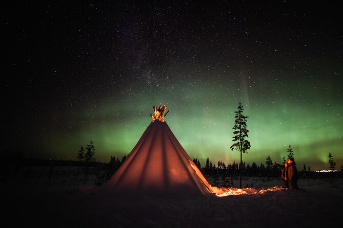 Rovaniemi Northern Lights Photography Small-Group Tour - How the forecast decides your direction