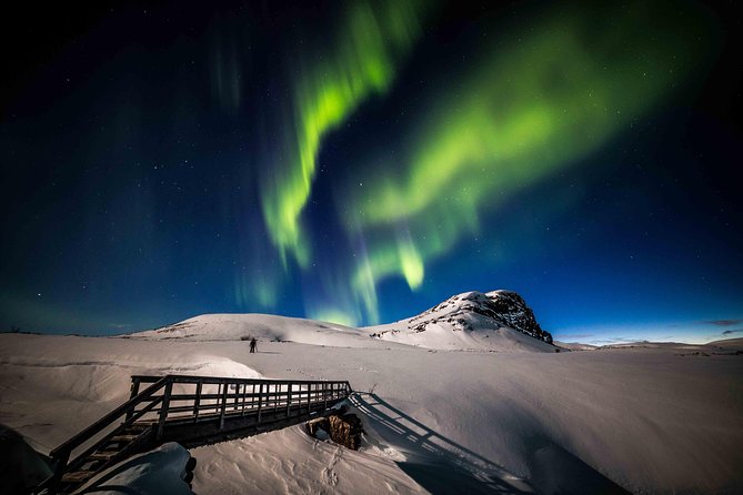 Rovaniemi Northern Lights Photography Small-Group Tour - Guides make the biggest difference