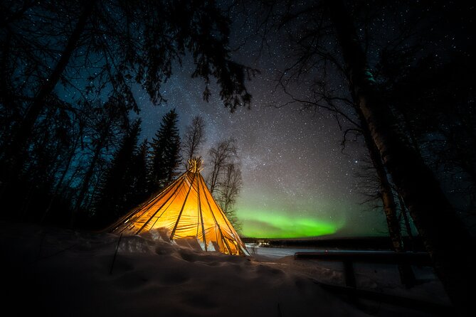 Rovaniemi Northern Lights Photography Small-Group Tour - Is $175.43 a fair price?