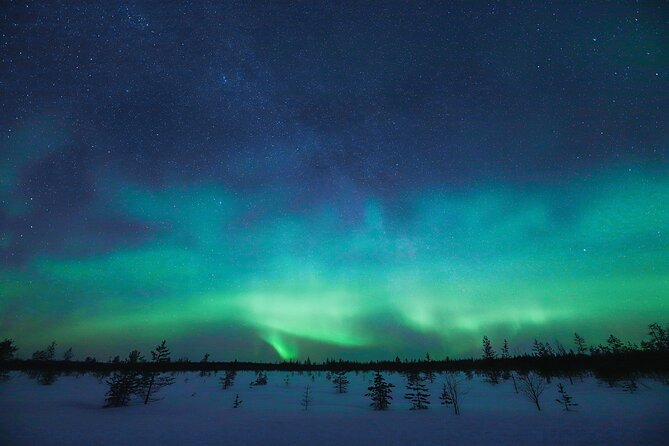 Rovaniemi: Northern Lights Pro Guaranteed - Unlimited Distance - Crossing borders for better odds