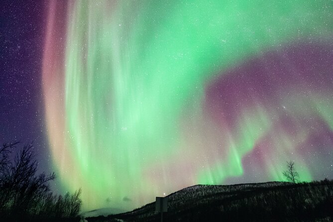 Rovaniemi: Northern Lights Pro Guaranteed - Unlimited (PRIVATE) - Why this private Rovaniemi aurora tour costs so much