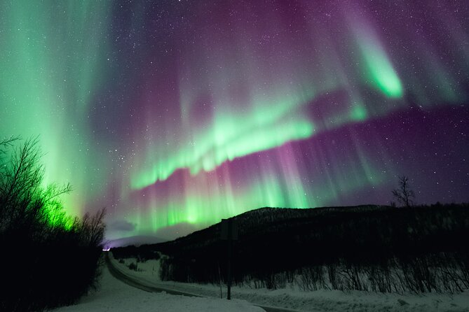 Rovaniemi: Northern Lights Pro Guaranteed - Unlimited (PRIVATE) - Following the forecast instead of a fixed route
