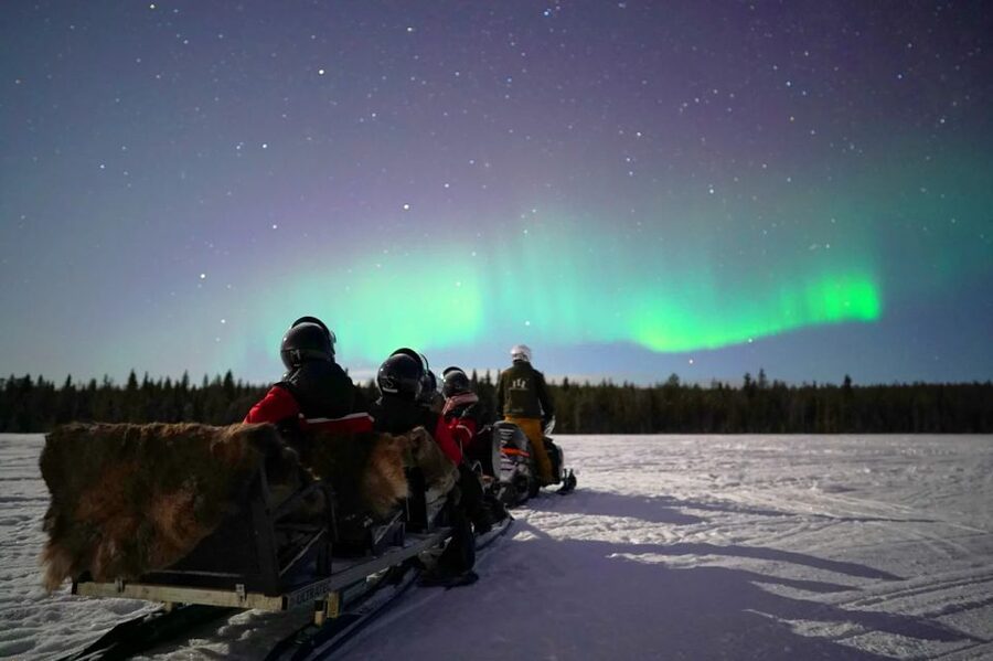 Rovaniemi: Northern Lights Sleigh Ride - Blueberry juice, gingerbread, and the value of warmth