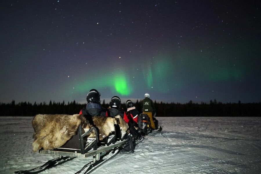 Rovaniemi: Northern Lights Sleigh Ride - Practical advice before you book