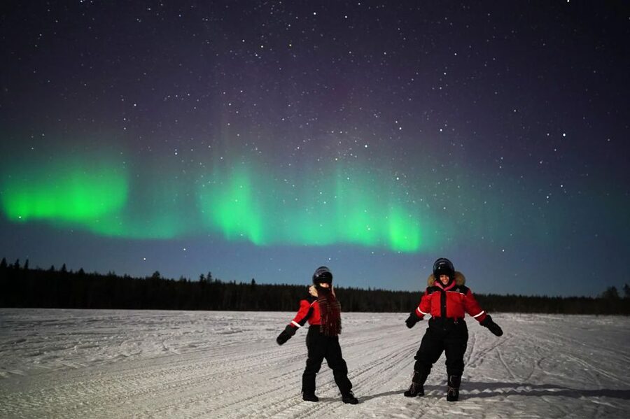 Rovaniemi: Northern Lights Sleigh Ride - The snowmobile sleigh ride
