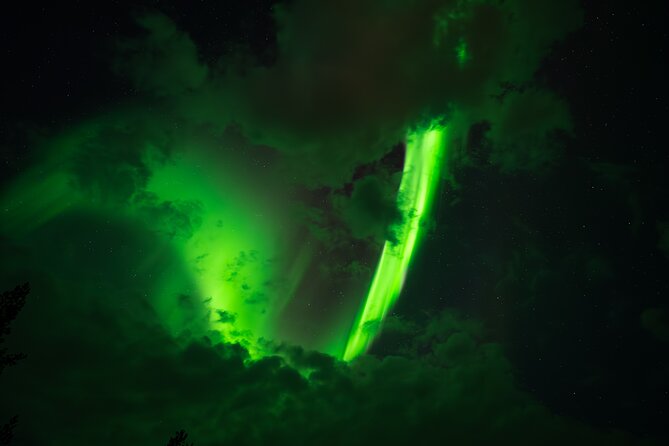 Rovaniemi: Northern Lights Small Group Money-Back Guarantee - Key points before you book