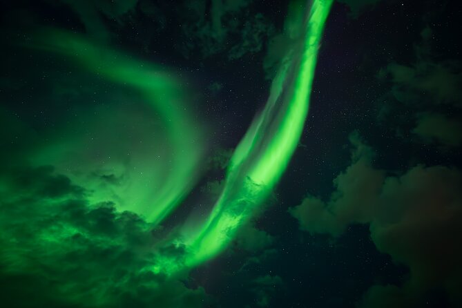 Rovaniemi: Northern Lights Small Group Money-Back Guarantee - The guides make a major difference