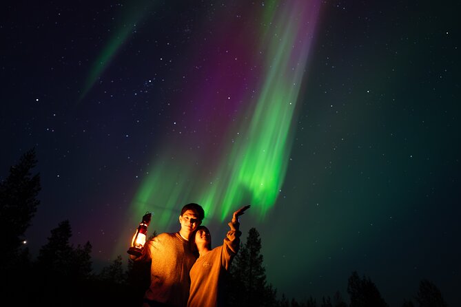Rovaniemi: Northern Lights Small Group Money-Back Guarantee - When the Northern Lights appear
