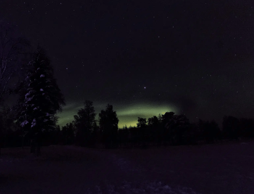 Rovaniemi: Northern Lights Snowmobile Safari with Campfire - A four-hour night in the Arctic Circle