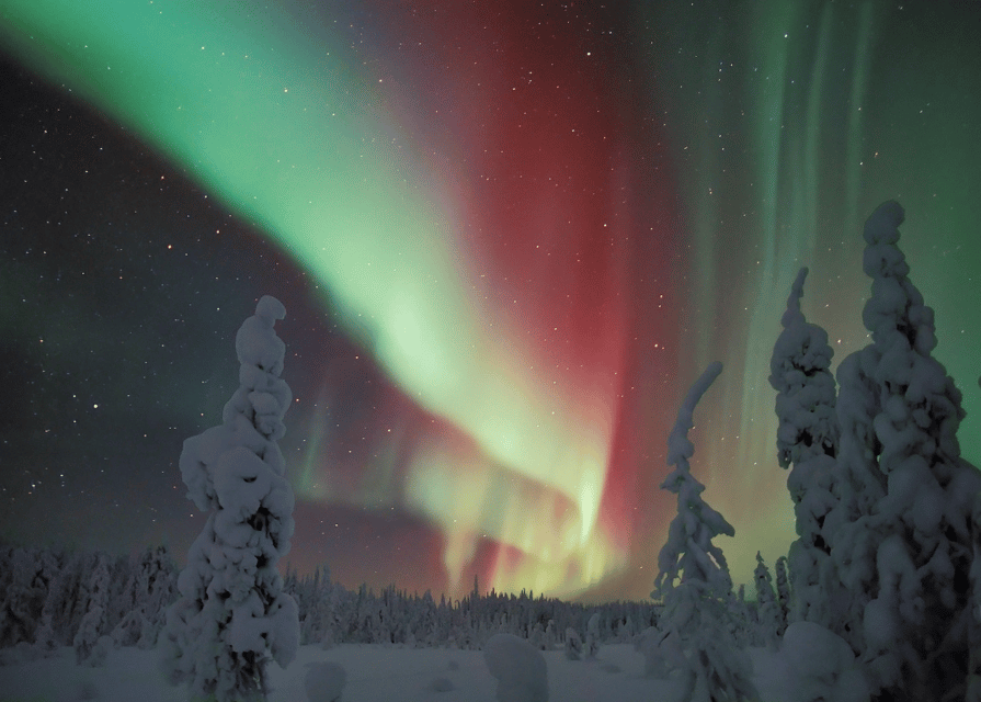 Rovaniemi: Northern Lights Snowmobile Safari with Campfire - Getting ready at Pekankatu 3