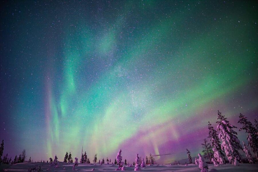 Rovaniemi: Northern Lights Snowmobile Tour - Sharing a snowmobile on the forest trail