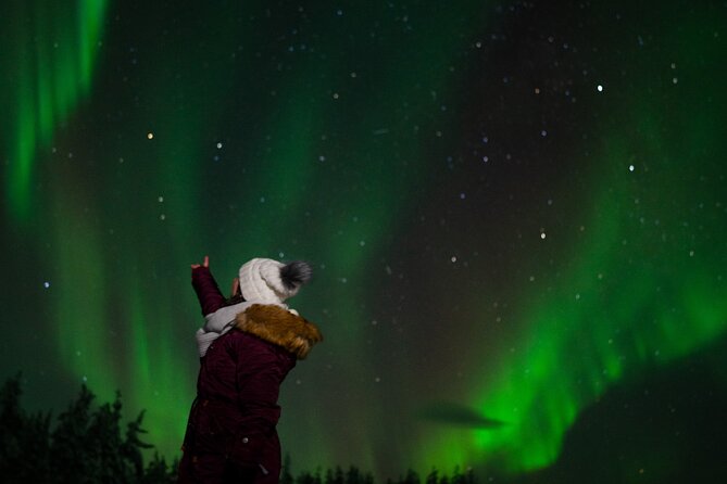 Rovaniemi: Northern Lights Tour - Leaving Rovaniemi for darker skies