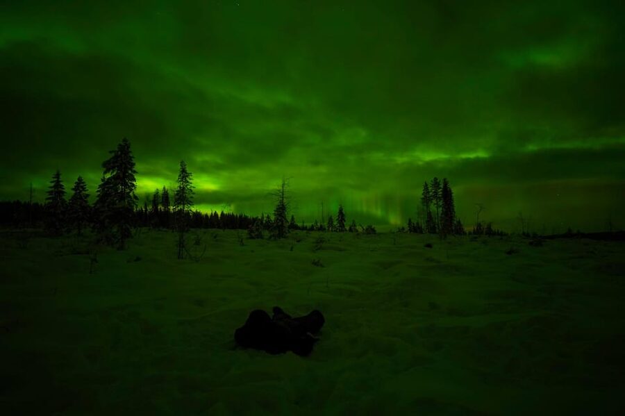 Rovaniemi: Northern Lights Tour at the Campfire - Getting dressed for Lapland’s cold
