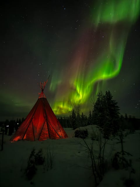 Rovaniemi: Northern Lights Tour at the Campfire - Campfire food and warm blueberry juice