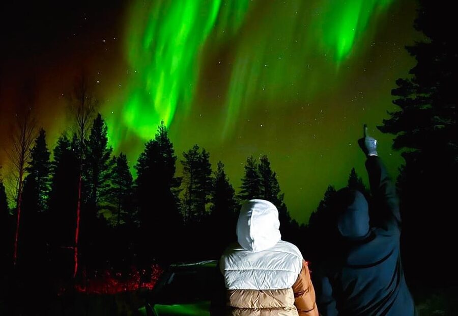 Rovaniemi: Northern Lights Tour with BBQ - Key points before you book