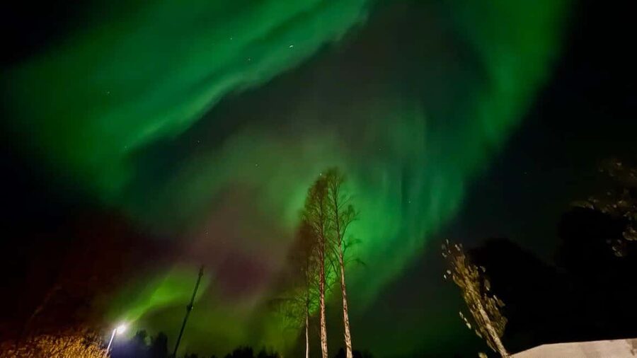 Rovaniemi: Northern Lights Tour with BBQ - Who will enjoy this tour most